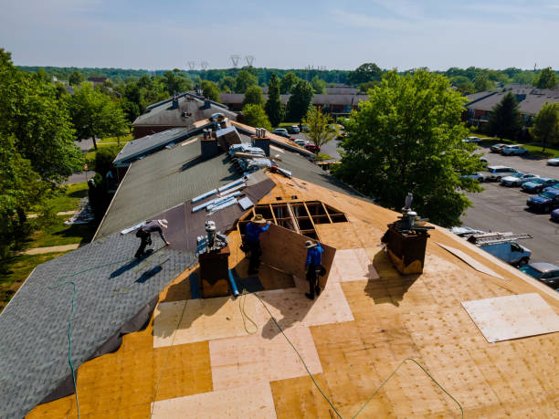 24/7 Emergency Roof Replacement experts in Ida, MI